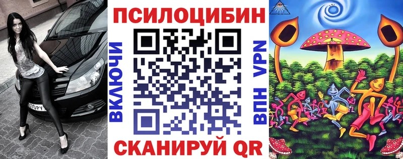 где можно купить наркотик ОМГ ОМГ как войти Галлюциногенные грибы мицелий Гусь-Хрустальный